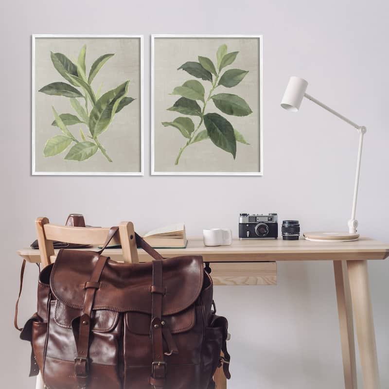 Stupell Green Tea & Coffee Plant Leaves Framed Giclee Art Design By Lanie Loreth (Set of 2)