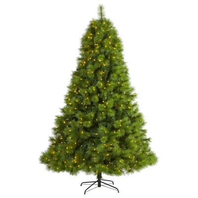 7.5' Green Scotch Pine Christmas Tree with 550 Clear LED Lights
