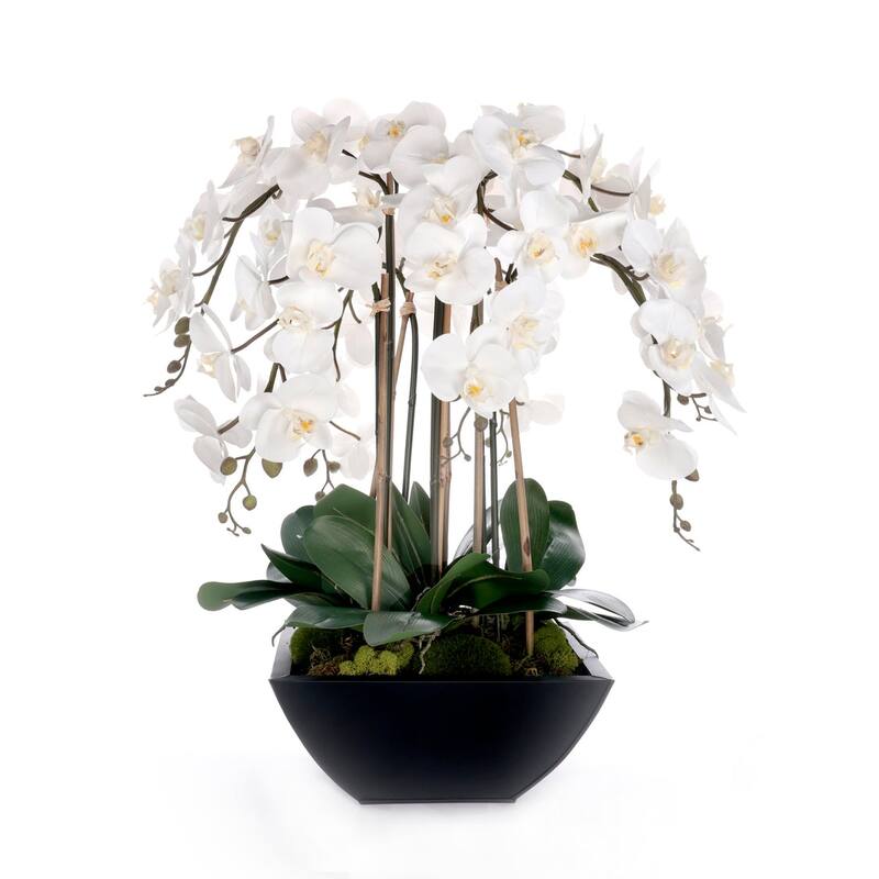 Real Touch White Orchids Flower Arrangement in Black Pot