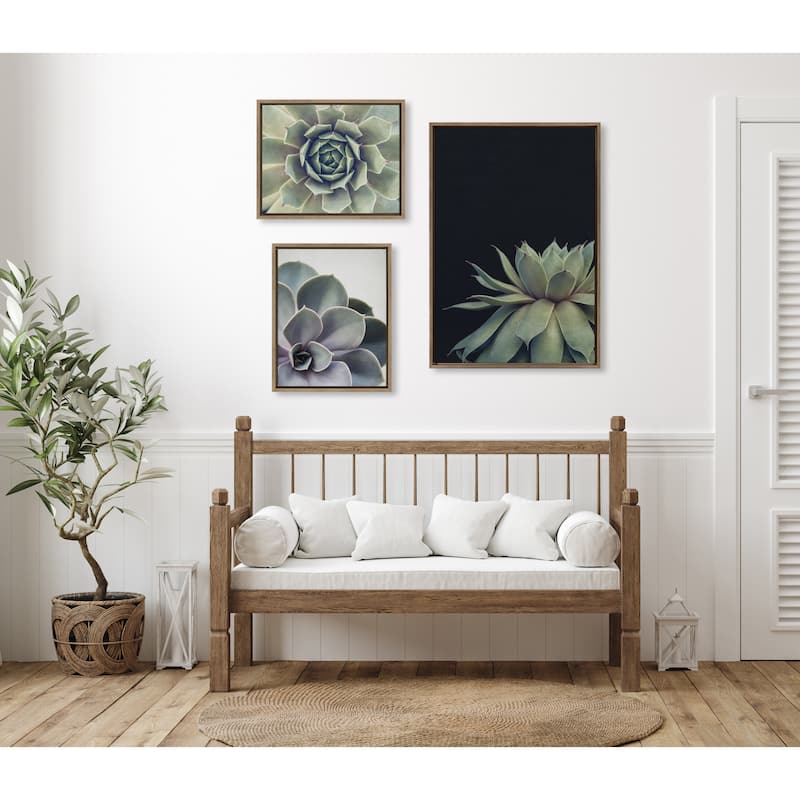 Kate and Laurel Sylvie Succulent Canvas Set by Emiko and Mark Franzen