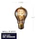 Option Loop Filament A19 Medium (E26)