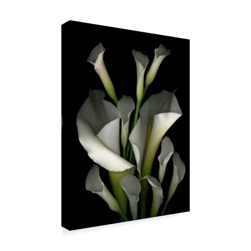 Susan S. Barmon 'White And Crystal Blue Callas 2' Canvas Art