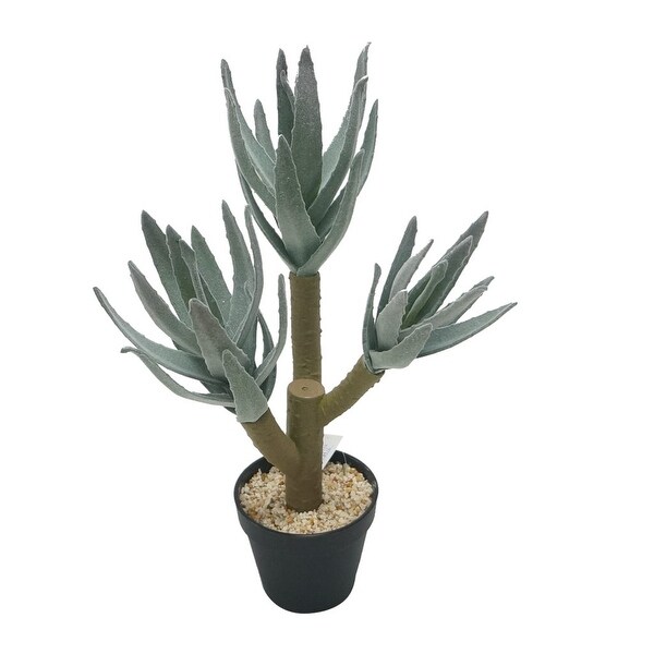 18.5" Green and Black Unique Abstract Style Potted Faux Aloe Succulent Plant - N/A