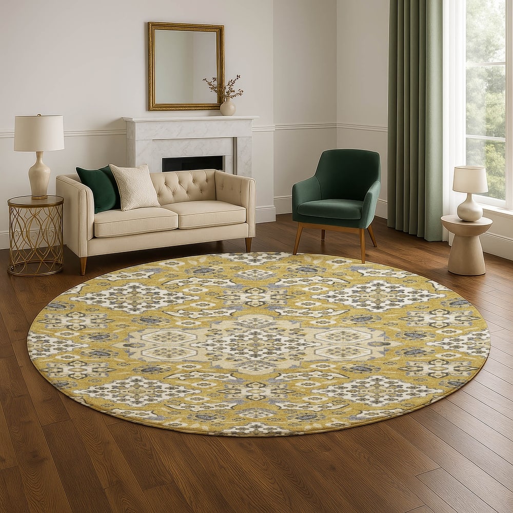 Premium Washable Super Soft Classic Traditional Mayfield Rug