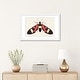 preview thumbnail 9 of 18, iCanvas "Red Butterfly" by Ana Martinez