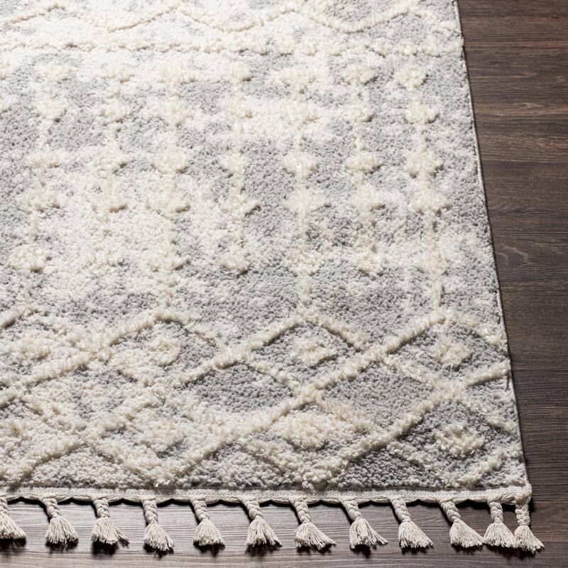Artistic Weavers Havva Geometric Bohemian Area Rug