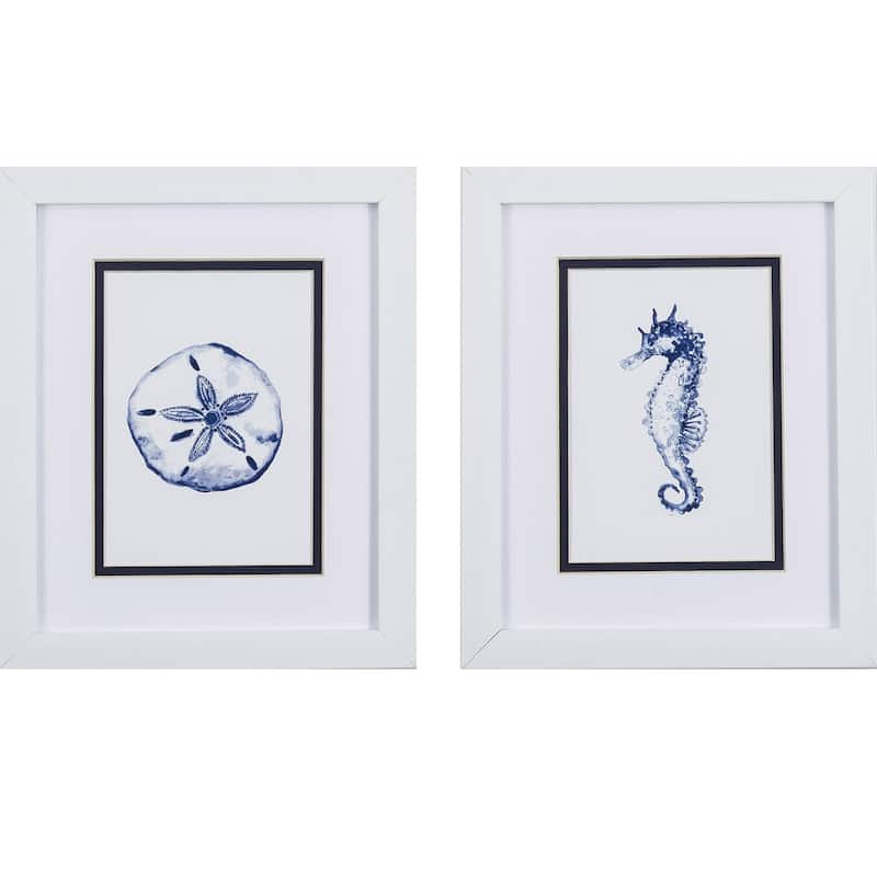 Sand Dollar Seahorse S/2 Framed Art Under glass - 11 X 09 X 1