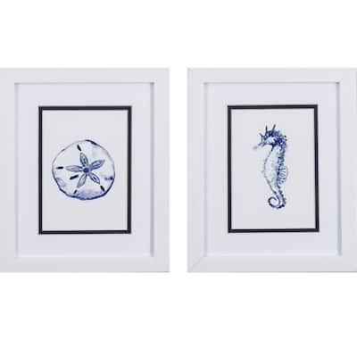 Sand Dollar Seahorse S/2 Framed Art Under glass