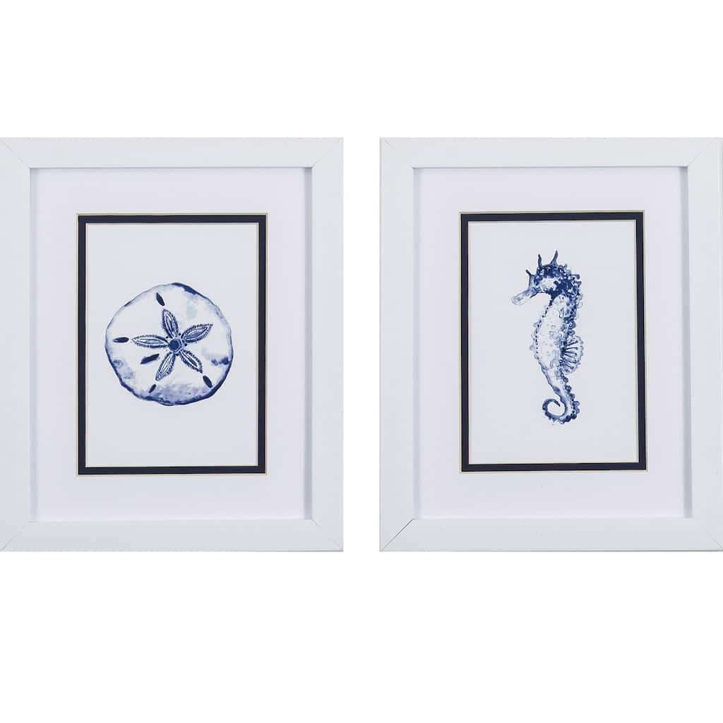 Sand Dollar Seahorse S/2 Framed Art Under glass