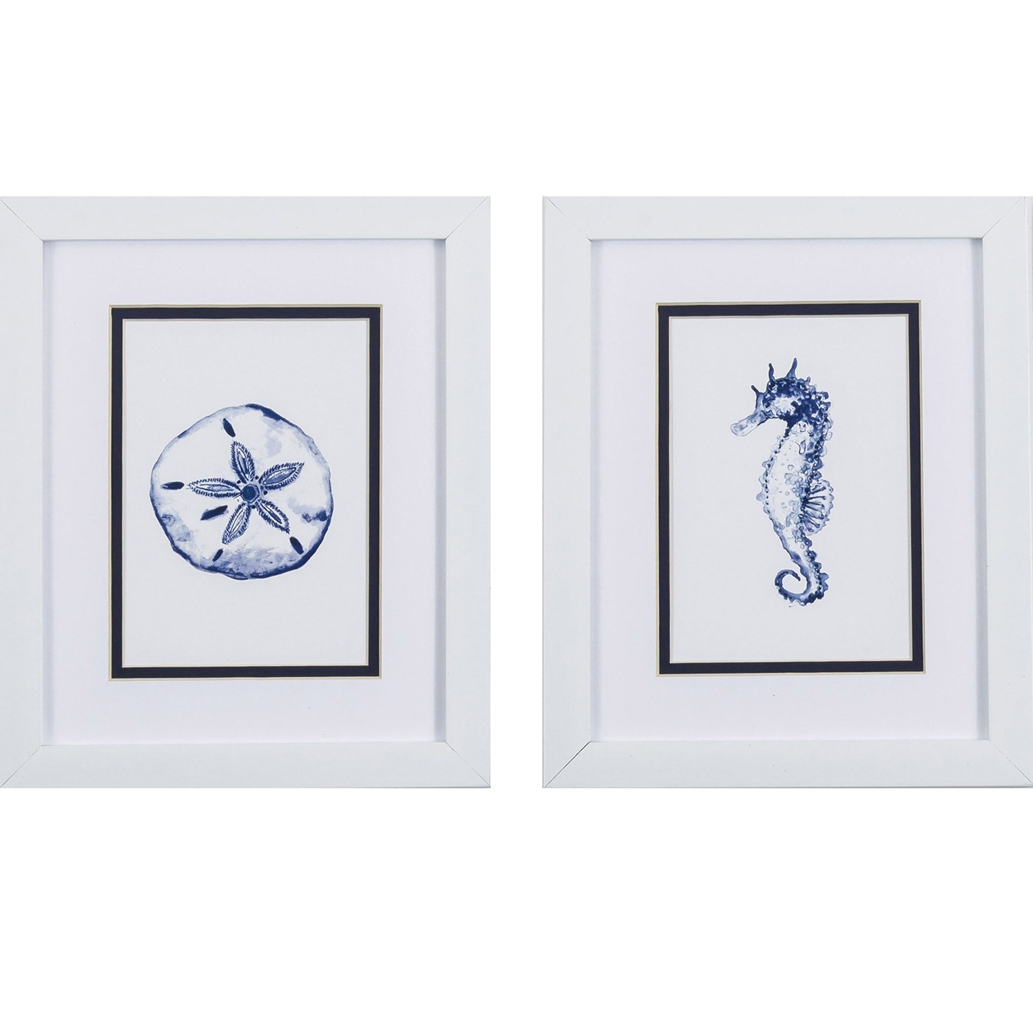 Sand Dollar Seahorse S/2 Framed Art Under glass