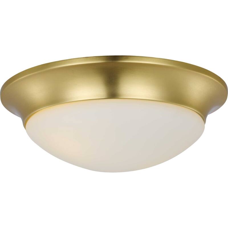 Progress Lighting 2 Light 14" Wide Flush Mount Bowl Ceiling Fixture