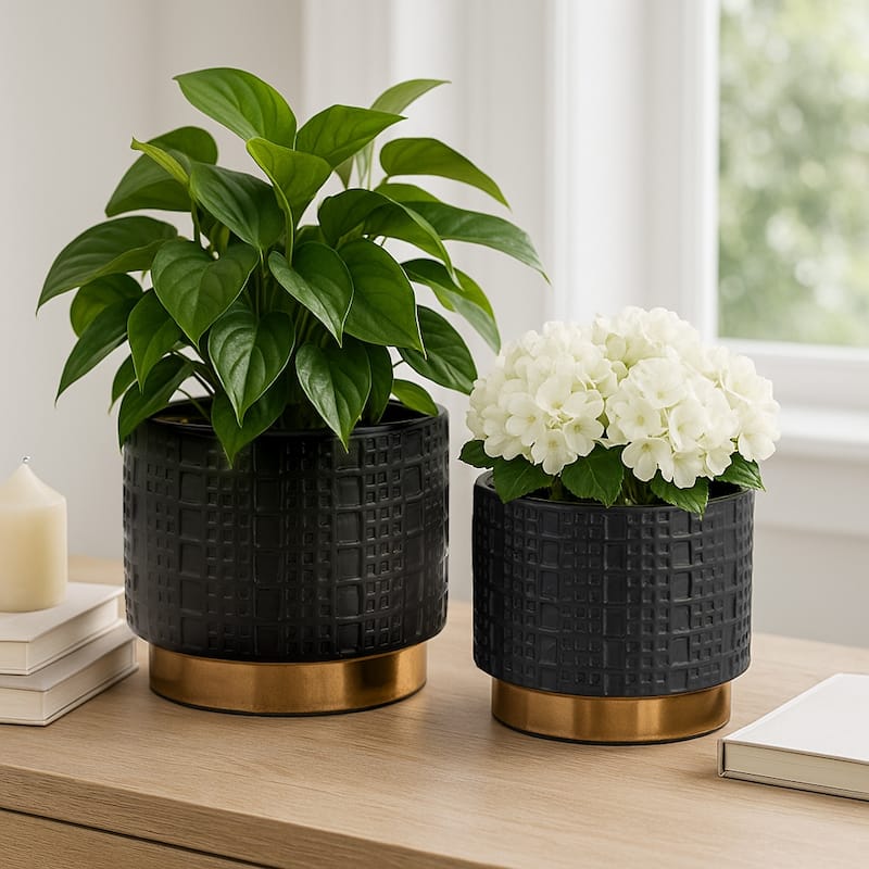 Ceramic Raised Mesh Planter Set of 2 - Black, 6/8 in.