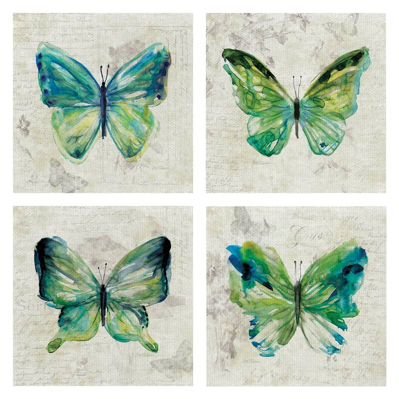 Butterfly Sketch I, II, III, IV by Carol Robinson Canvas Art Prints