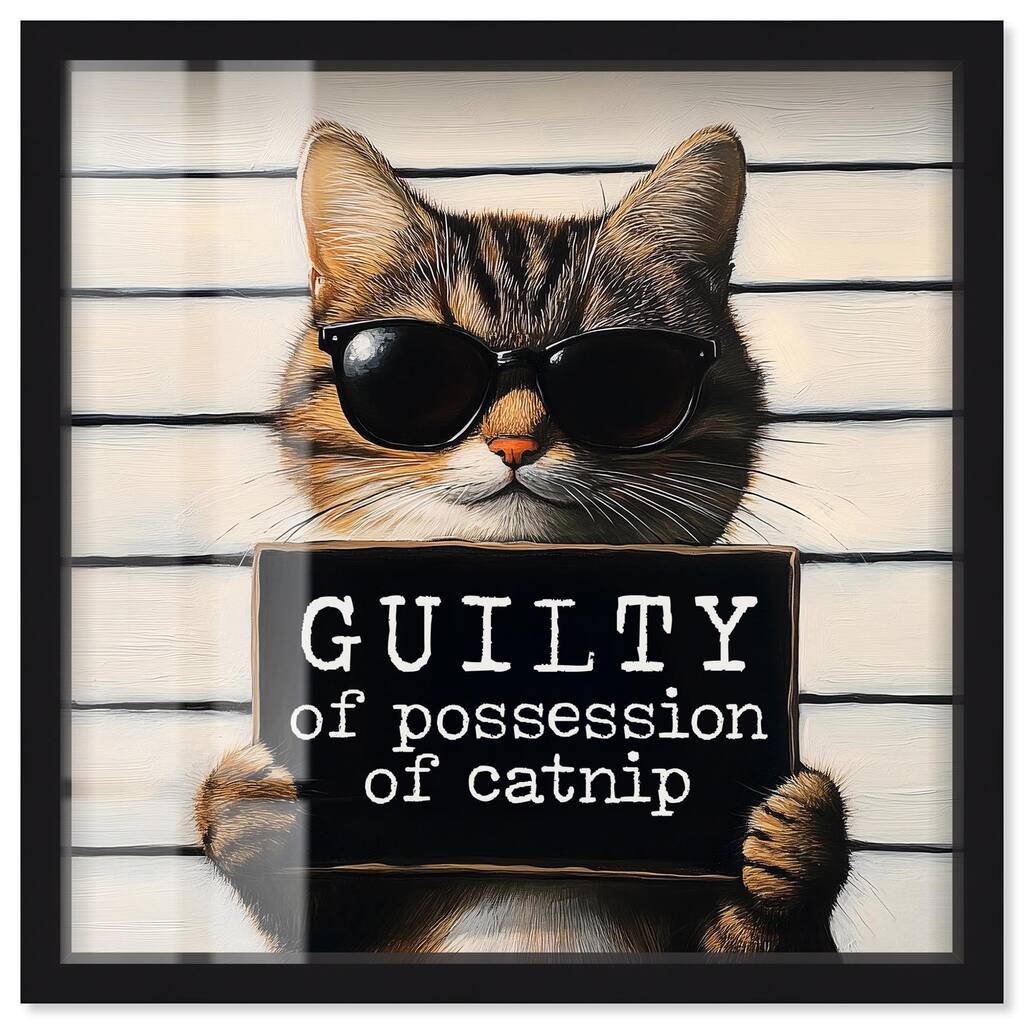 Guilty of Catnip Shadowbox by Art Remedy