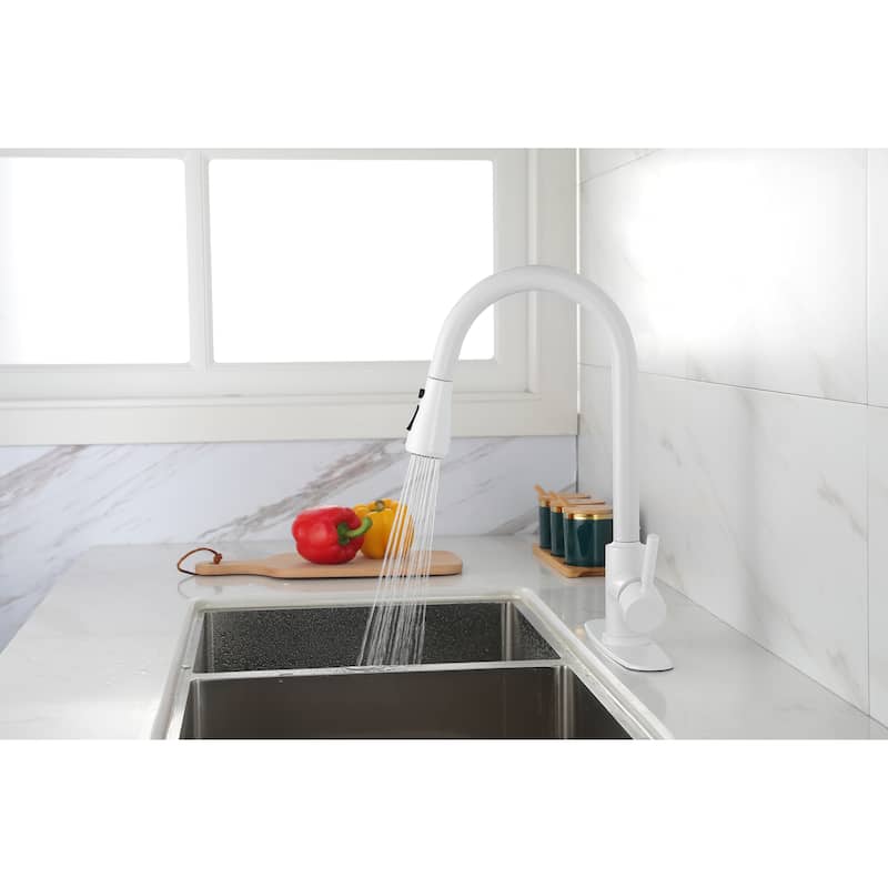 Pull Out Spray Kitchen Faucet