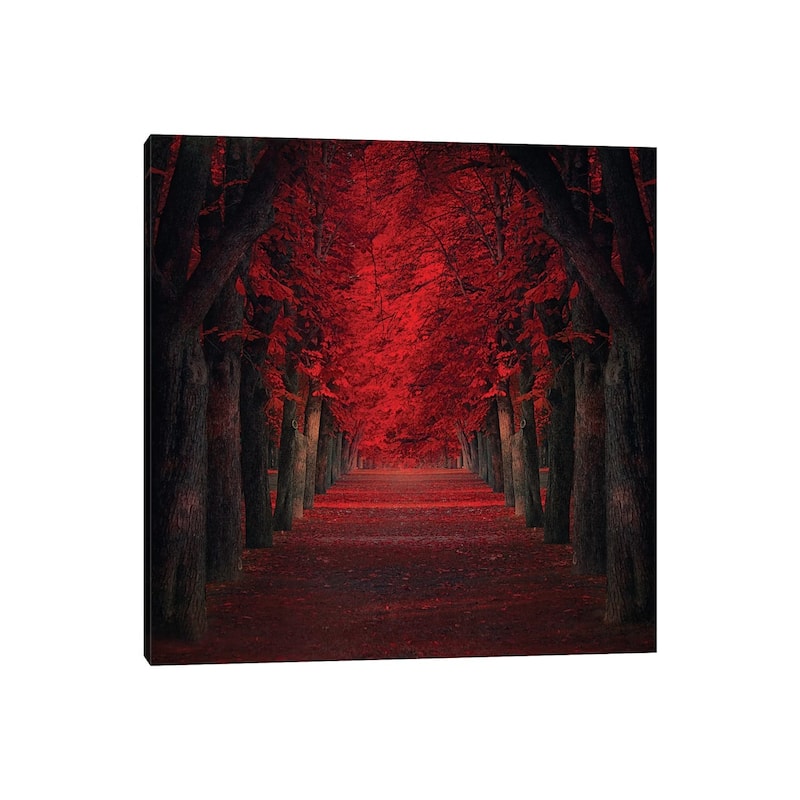 iCanvas "Endless Passion" by Ildiko Neer Canvas Print
