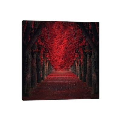 iCanvas "Endless Passion" by Ildiko Neer Canvas Print