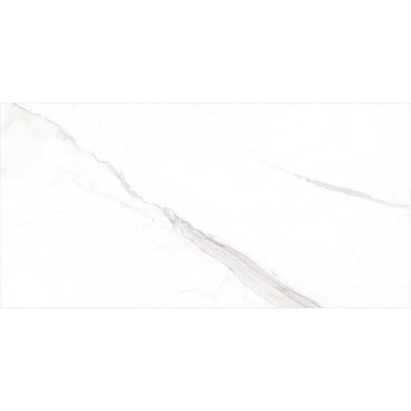 The Tile Life Delaney 24x48 Blanco Marble Look Porcelain Floor & Wall Tile