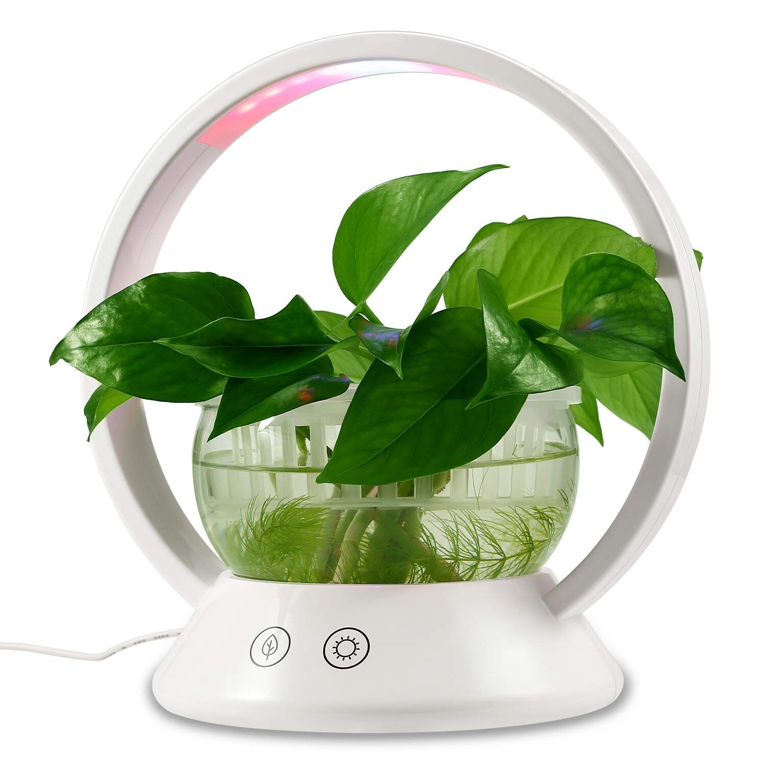 Shop Led Indoor Garden Kit Plant Grow Light 1 Overstock 28905918