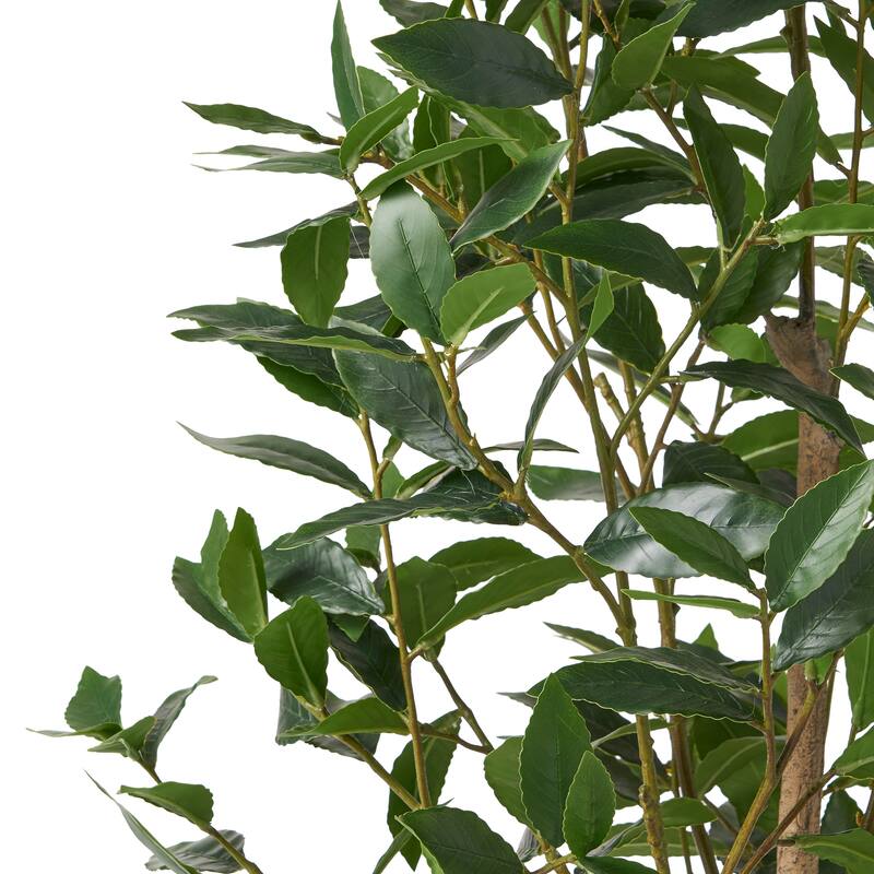 Atoka 5.5' x 2' Artificial Laurel Tree by Christopher Knight Home