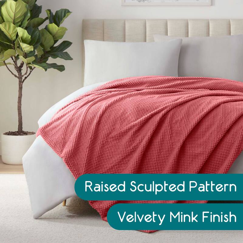Vellux Plush Texture Blanket