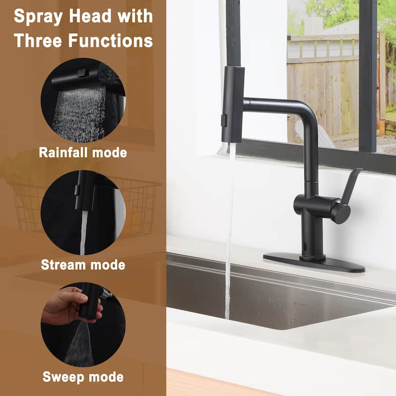 Single Handle Pull Down Sprayer Kitchen Faucet with 3 Functions Spray