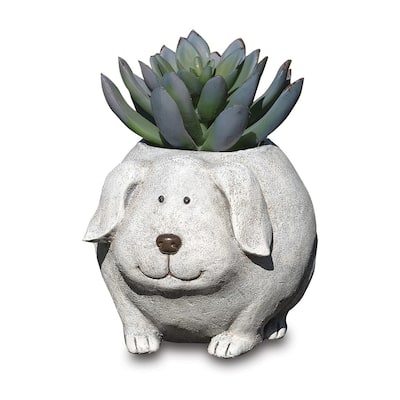 Curata Stone Resin Mini Dog Pudgy Planter
