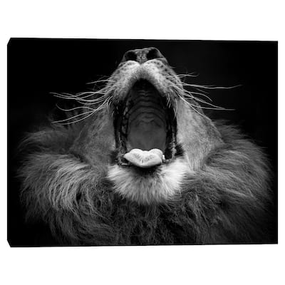 Mujambi by SD Smart Canvas Art Print