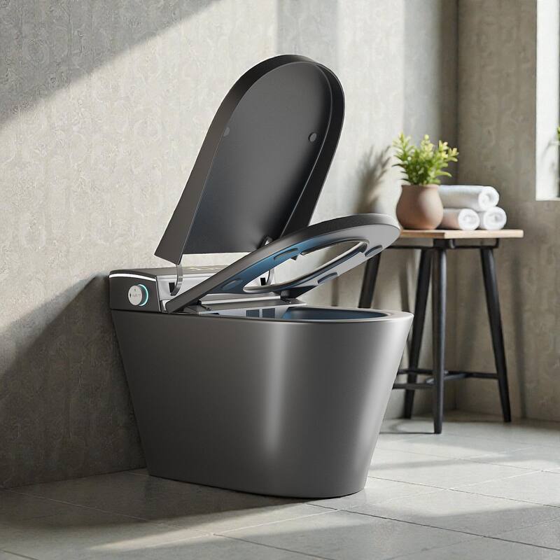 Smart One Piece Toilet with Built In Bidet. Auto Open Close Seat. Heated Seat. Warm Water. Dryer. Remote Control