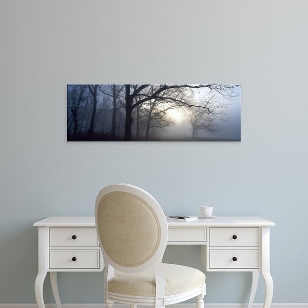 Easy Art Prints Panoramic Images's 'Trees in a forest at dawn, Churchill Woods, Illinois, USA' Premium Canvas Art