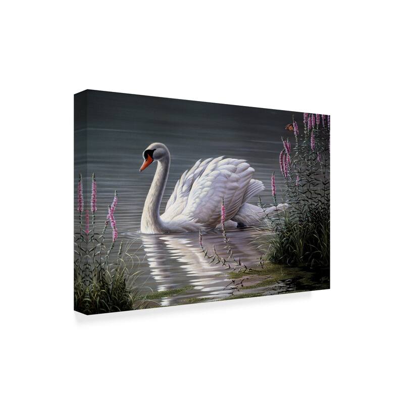 Wilhelm Goebel 'Summer Idyll Mute Swan' Canvas Art