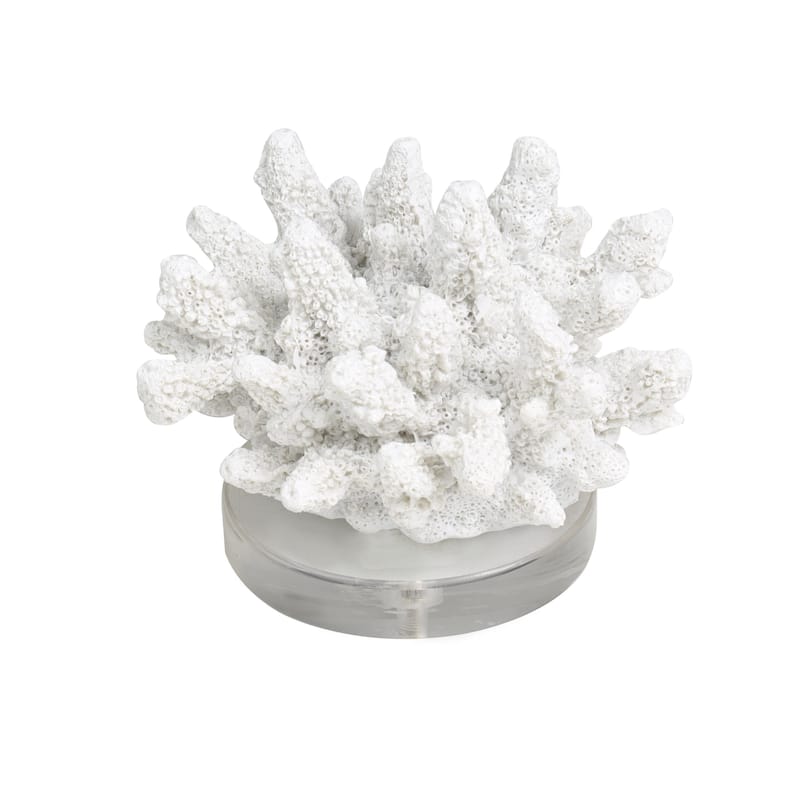 Polystone Coral Small Textured Decorative Sculpture with Clear Acrylic Base - White - Roche River Decor - White