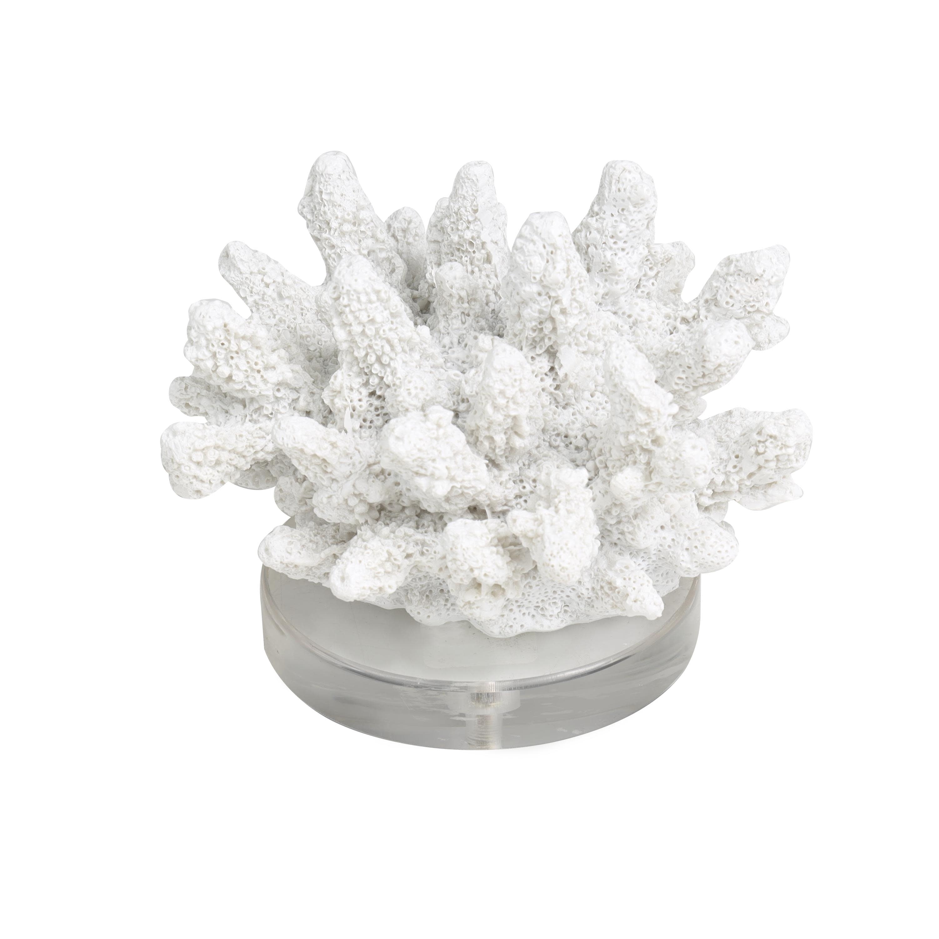 Polystone Coral Small Textured Decorative Sculpture with Clear Acrylic Base - White - Roche River Decor