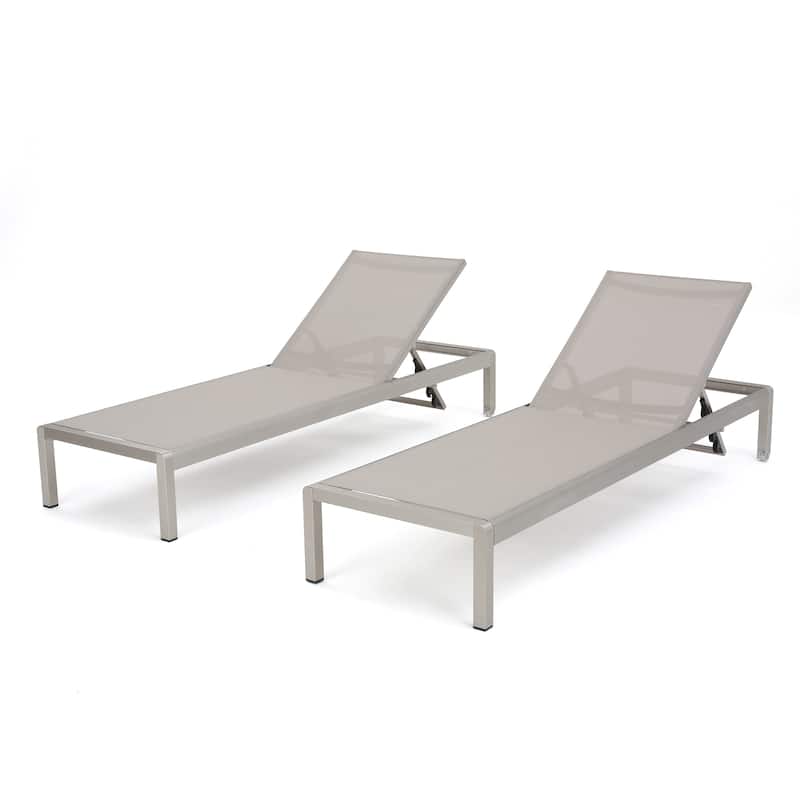 Cape Coral Mesh Chaise Lounges (Set of 2) by Christopher Knight Home
