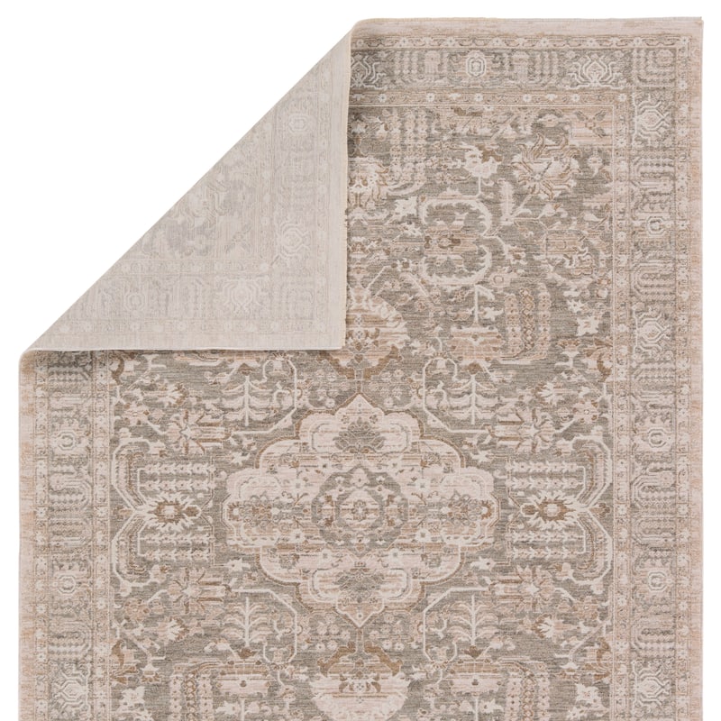 Olexa Medallion Beige/Gray Rug
