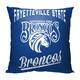 Option Fayetteville State Broncos