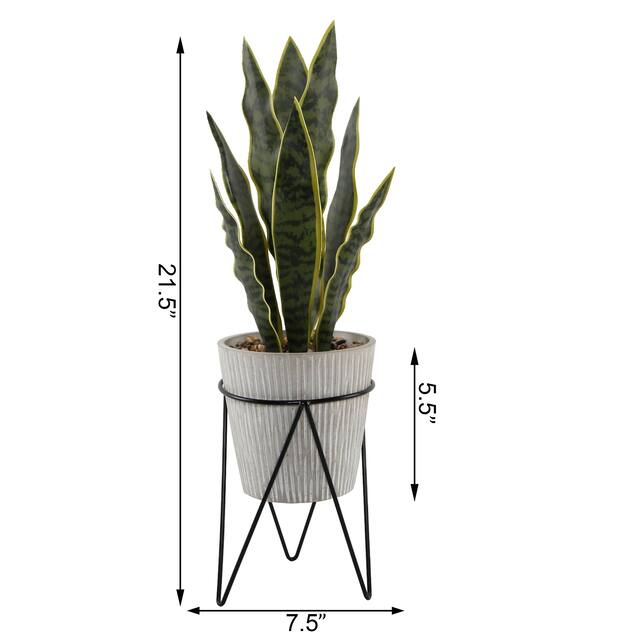 1.8FT Height Artificial Snake Plant - ONE-SIZE