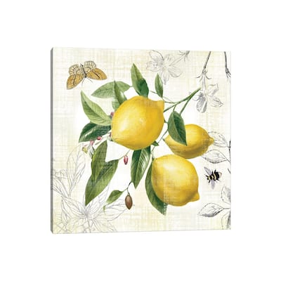 iCanvas "Linen Lemons II" by Nan Canvas Print