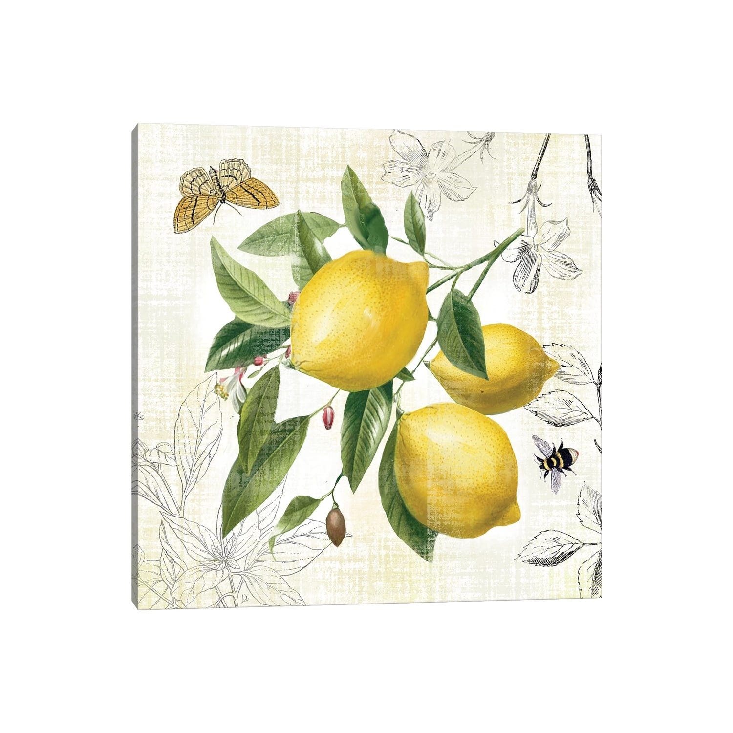 iCanvas "Linen Lemons II" by Nan Canvas Print