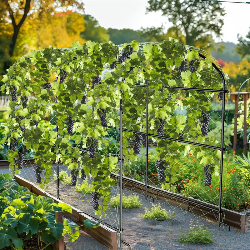 Heavy-duty Green Cucumber Garden Trellis