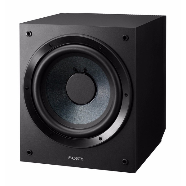 sony 10 inch speaker