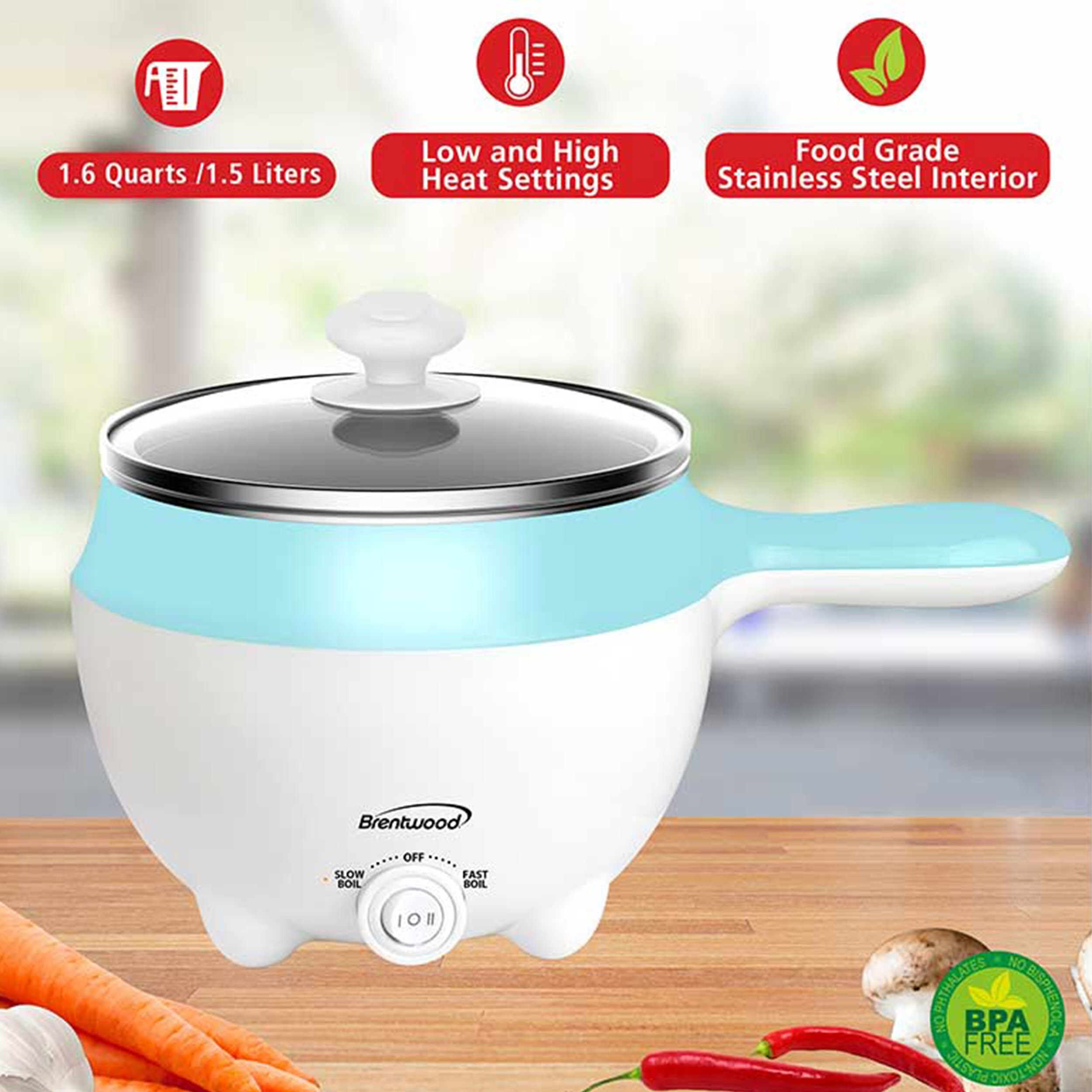 https://ak1.ostkcdn.com/images/products/is/images/direct/fb5811110cc471b3c4874def6d41333695361fc2/Brentwood-Stainless-Steel-1.6qt-Electric-Hot-Pot-Cooker-and-Steamer.jpg