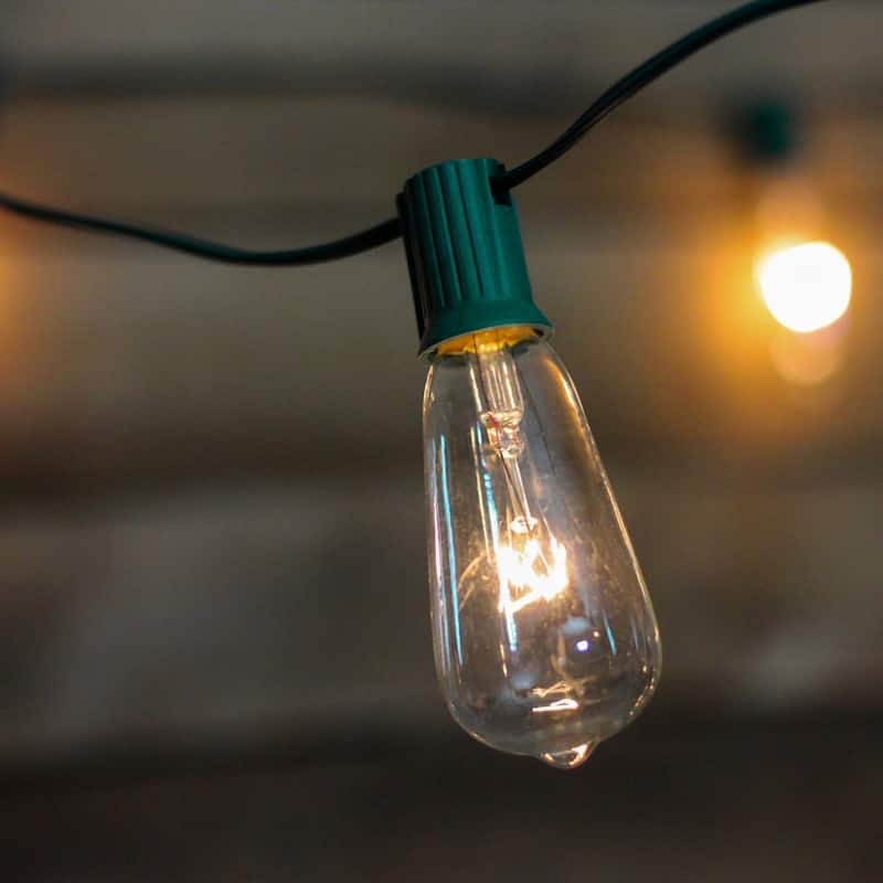 10-Count Clear Edison Glass Patio Lights, 9ft Green Wire