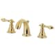 Option Polished Brass