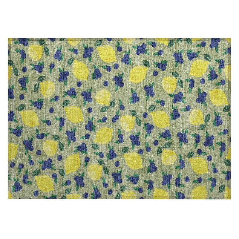 Machine Washable Indoor/ Outdoor Citrus Berry Chantille Rug