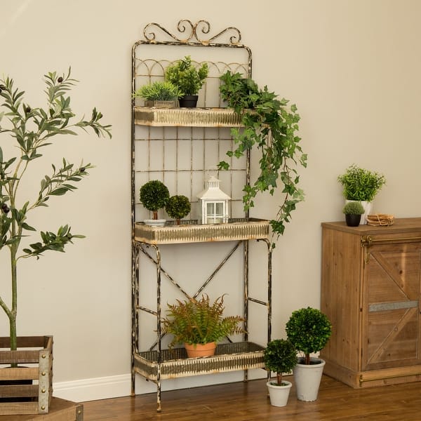 snow queen pothos for sale Pothos Snow Queen — Nursery 2 U main image 1