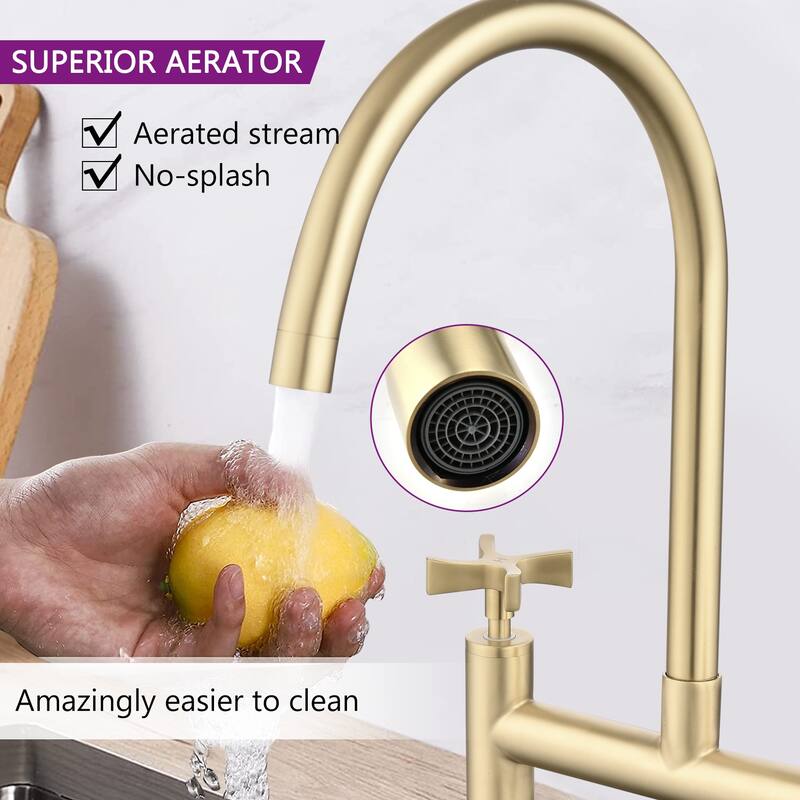 Dornberg Double Handles Bridge Kitchen Faucet with Cross Handles