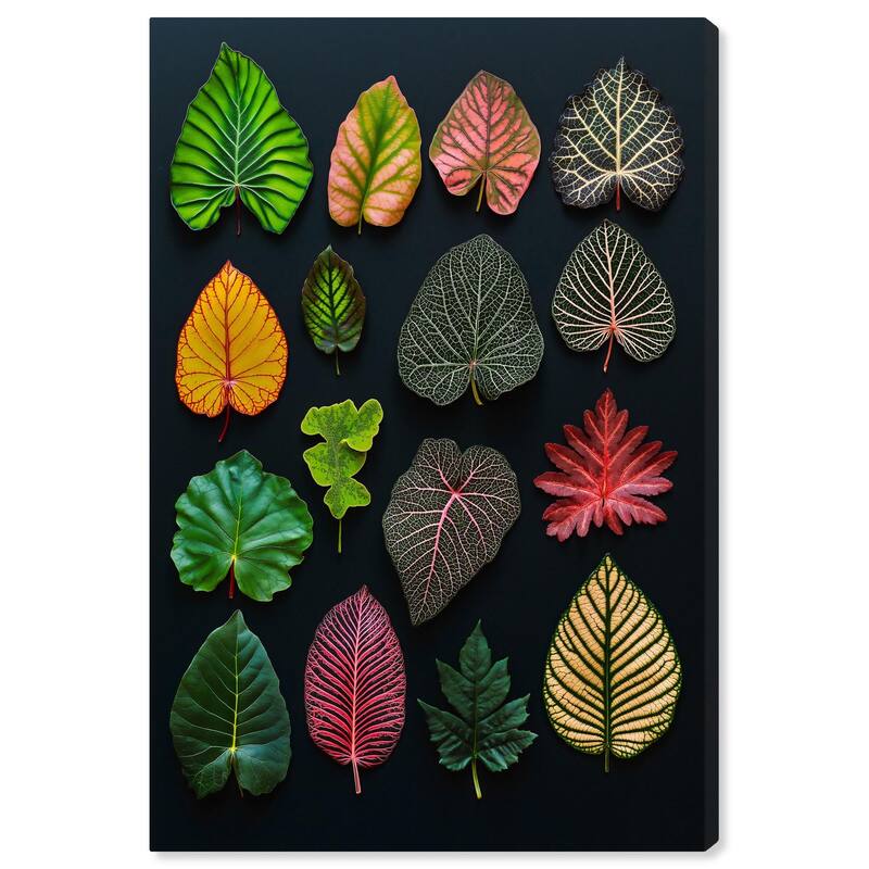 Leaf Lexicon Canvas by Art Remedy, Gallery Wrapped - 30" x 45"
