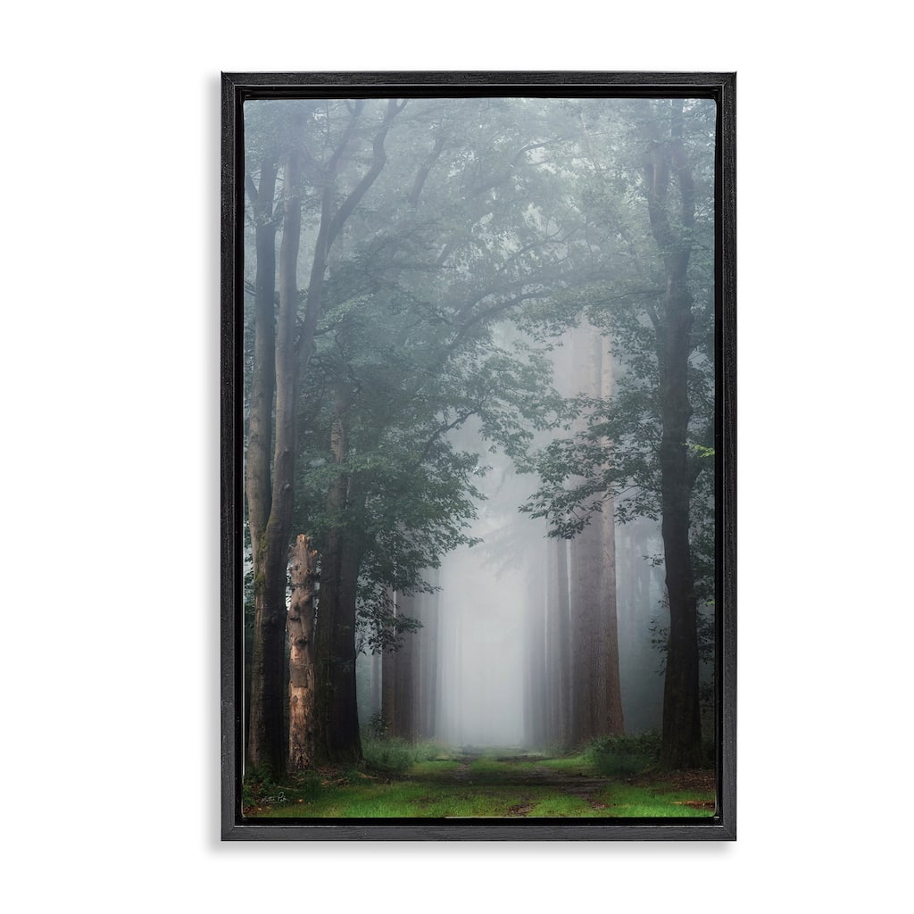 Stupell Calm Forest Clearing Framed Floater Canvas Wall Art Design By Martin Podt
