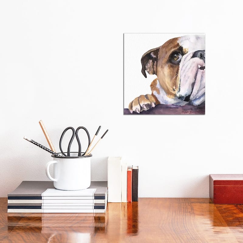 iCanvas "Peek A Boo English Bulldog Puppy" by George Dyachenko Canvas Print - 12x12x1.5